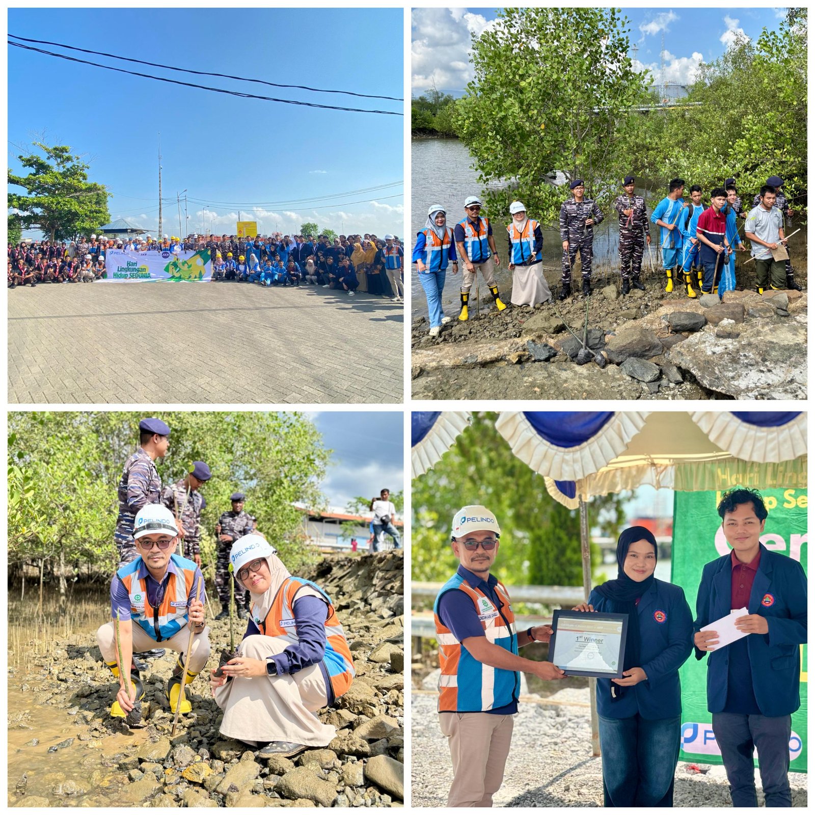 Pelindo Kotabaru dan PT AKR Tanam 1.000 Mangrove Dalam Rangka Hari Lingkungan Hidup 2025